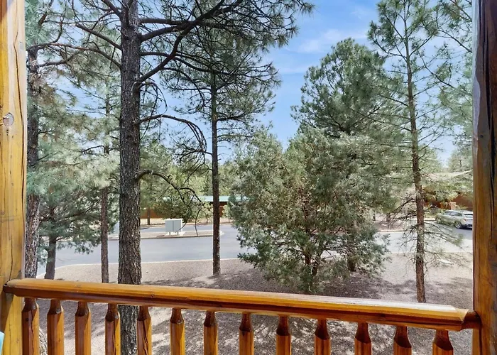 Beauty Among Pines